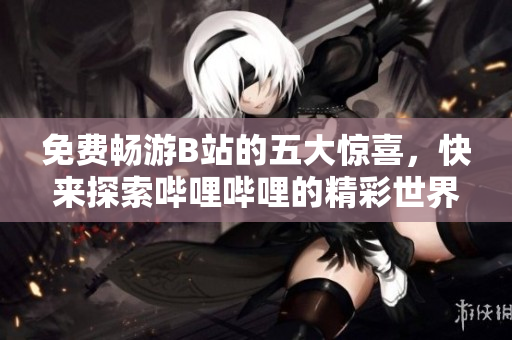 免费畅游B站的五大惊喜，快来探索哔哩哔哩的精彩世界