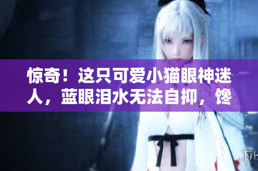 惊奇！这只可爱小猫眼神迷人，蓝眼泪水无法自抑，馋爆口水四溅
