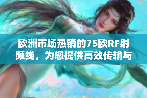欧洲市场热销的75欧RF射频线，为您提供高效传输与稳定性的选择
