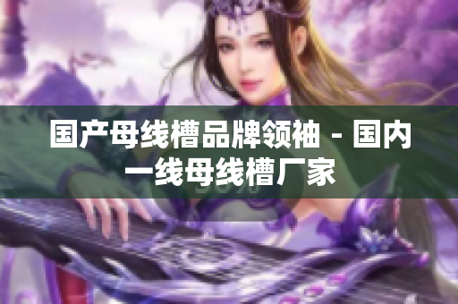 国产母线槽品牌领袖 - 国内一线母线槽厂家