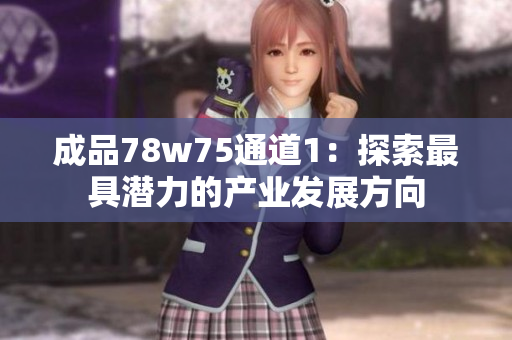 成品78w75通道1：探索最具潜力的产业发展方向