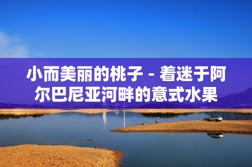 小而美丽的桃子 - 着迷于阿尔巴尼亚河畔的意式水果
