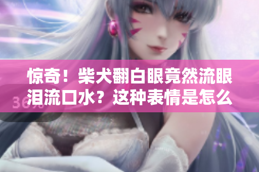 惊奇！柴犬翻白眼竟然流眼泪流口水？这种表情是怎么回事？