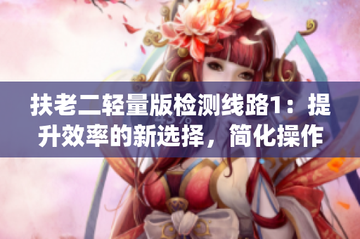 扶老二轻量版检测线路1：提升效率的新选择，简化操作轻松实现(1)