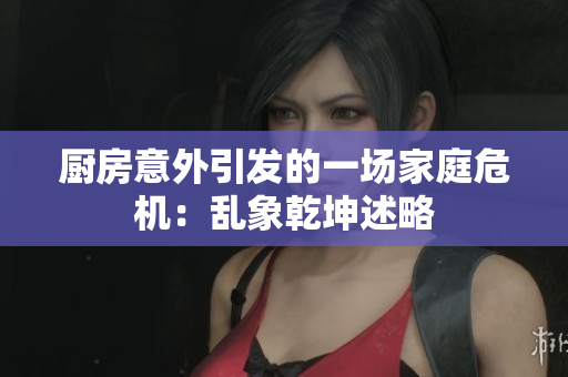 厨房意外引发的一场家庭危机：乱象乾坤述略