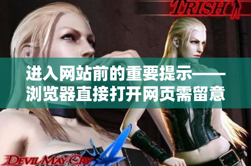 进入网站前的重要提示——浏览器直接打开网页需留意事项