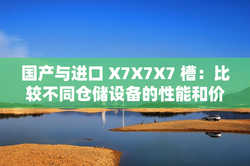 国产与进口 X7X7X7 槽：比较不同仓储设备的性能和价格。