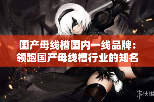 国产母线槽国内一线品牌：领跑国产母线槽行业的知名品牌