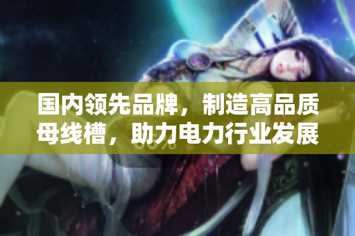 国内领先品牌，制造高品质母线槽，助力电力行业发展
