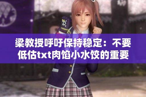 梁教授呼吁保持稳定：不要低估txt肉馅小水饺的重要性