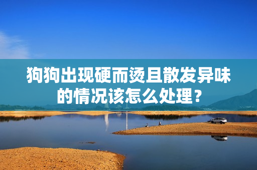 狗狗出现硬而烫且散发异味的情况该怎么处理？