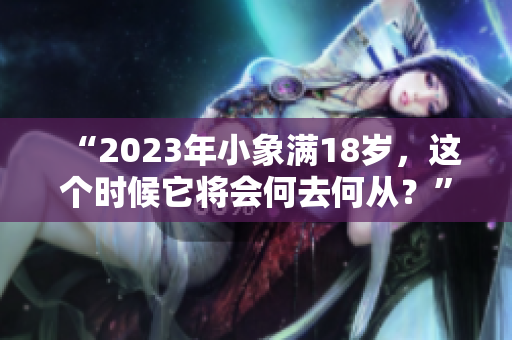 “2023年小象满18岁，这个时候它将会何去何从？”