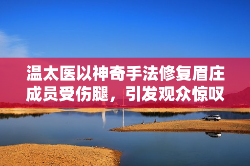 温太医以神奇手法修复眉庄成员受伤腿，引发观众惊叹