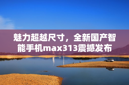 魅力超越尺寸，全新国产智能手机max313震撼发布