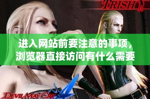 进入网站前要注意的事项，浏览器直接访问有什么需要注意的？(1)