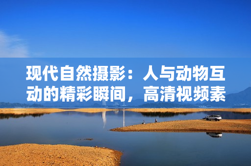 现代自然摄影：人与动物互动的精彩瞬间，高清视频素材免费下载