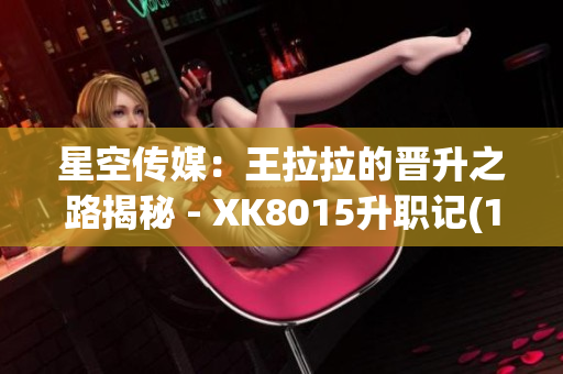 星空传媒：王拉拉的晋升之路揭秘 - XK8015升职记(1)