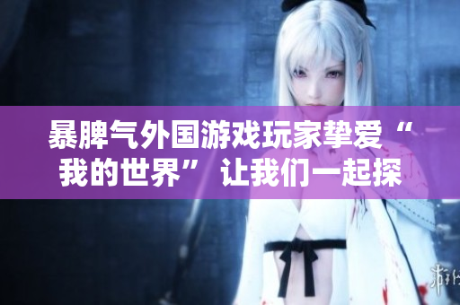 暴脾气外国游戏玩家挚爱“我的世界” 让我们一起探索迷人的游戏世界