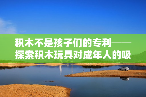 积木不是孩子们的专利──探索积木玩具对成年人的吸引力