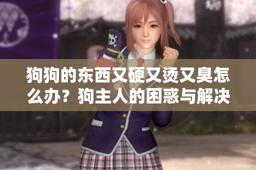 狗狗的东西又硬又烫又臭怎么办？狗主人的困惑与解决方法