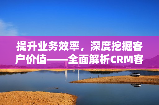 提升业务效率，深度挖掘客户价值——全面解析CRM客户管理系统