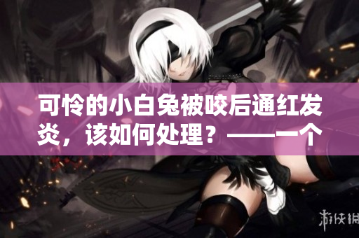 可怜的小白兔被咬后通红发炎，该如何处理？——一个编辑的建议