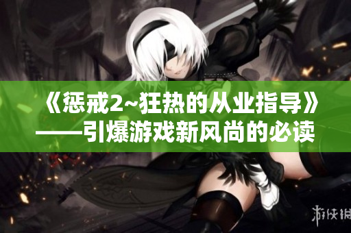 《惩戒2~狂热的从业指导》——引爆游戏新风尚的必读指南