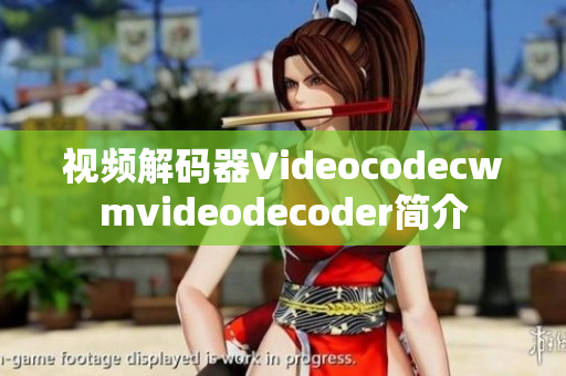 视频解码器Videocodecwmvideodecoder简介