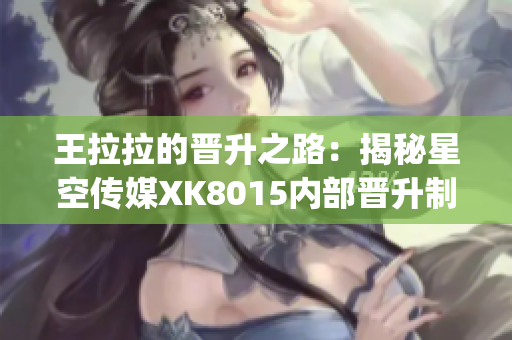 王拉拉的晋升之路：揭秘星空传媒XK8015内部晋升制度(1)