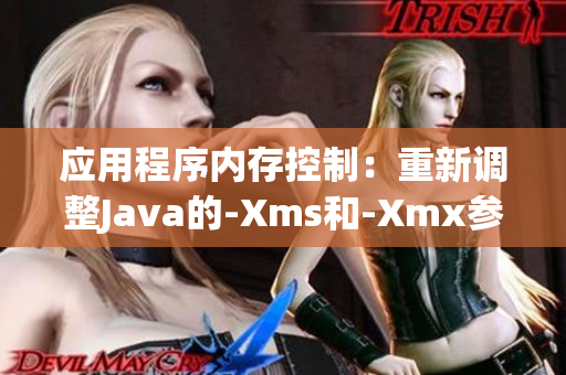 应用程序内存控制：重新调整Java的-Xms和-Xmx参数