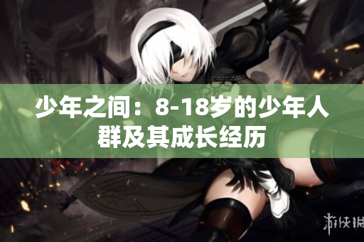 少年之间：8-18岁的少年人群及其成长经历