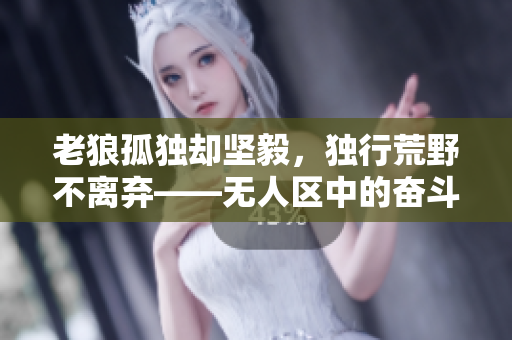 老狼孤独却坚毅，独行荒野不离弃——无人区中的奋斗精神