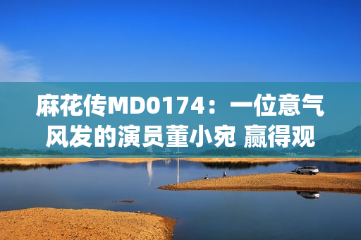 麻花传MD0174：一位意气风发的演员董小宛 赢得观众热烈赞誉(1)