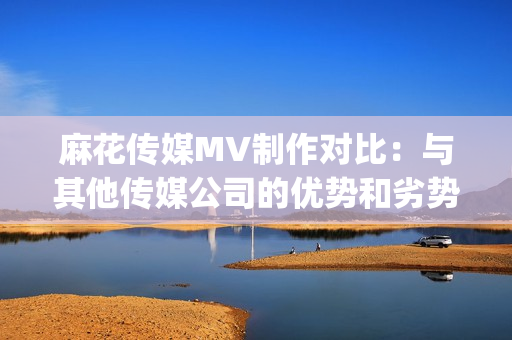 麻花传媒MV制作对比：与其他传媒公司的优势和劣势分析(1)