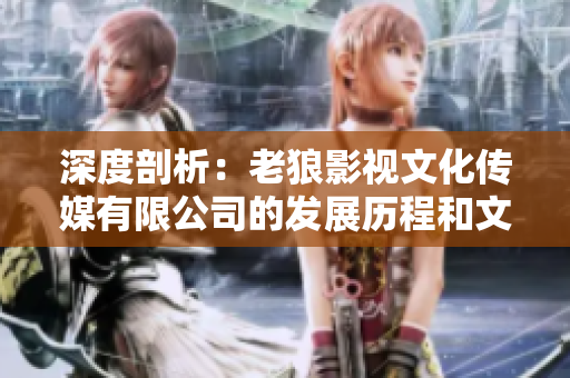 深度剖析：老狼影视文化传媒有限公司的发展历程和文化价值