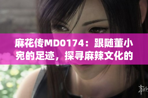 麻花传MD0174：跟随董小宛的足迹，探寻麻辣文化的传承与创新(1)
