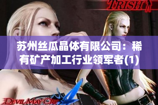 苏州丝瓜晶体有限公司：稀有矿产加工行业领军者(1)