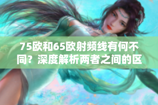 75欧和65欧射频线有何不同？深度解析两者之间的区别