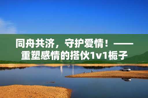 同舟共济，守护爱情！——重塑感情的搭伙1v1栀子