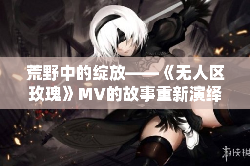 荒野中的绽放——《无人区玫瑰》MV的故事重新演绎