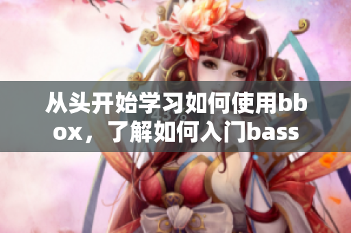 从头开始学习如何使用bbox，了解如何入门bass