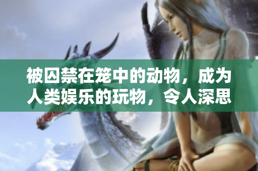 被囚禁在笼中的动物，成为人类娱乐的玩物，令人深思