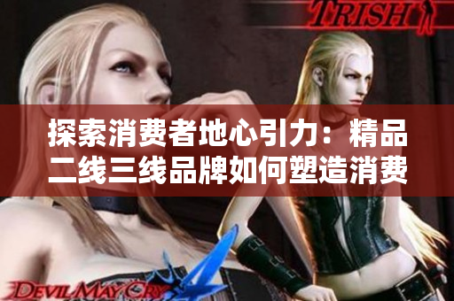 探索消费者地心引力：精品二线三线品牌如何塑造消费者消费行为