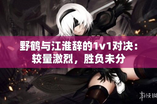 野鹤与江淮辞的1v1对决：较量激烈，胜负未分