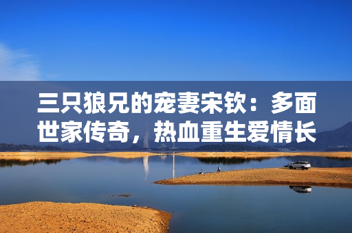 三只狼兄的宠妻宋钦：多面世家传奇，热血重生爱情长征
