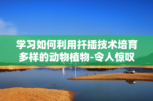 学习如何利用扦插技术培育多样的动物植物-令人惊叹的视频分享