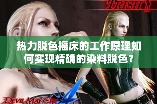 热力脱色摇床的工作原理如何实现精确的染料脱色？