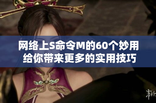 网络上S命令M的60个妙用 给你带来更多的实用技巧
