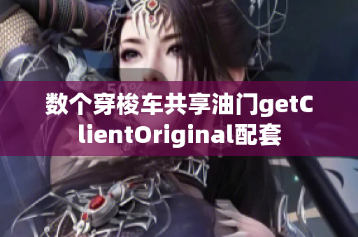 数个穿梭车共享油门getClientOriginal配套