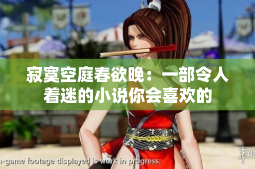寂寞空庭春欲晚：一部令人着迷的小说你会喜欢的